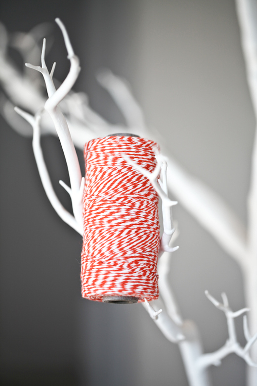 шнур мандарин