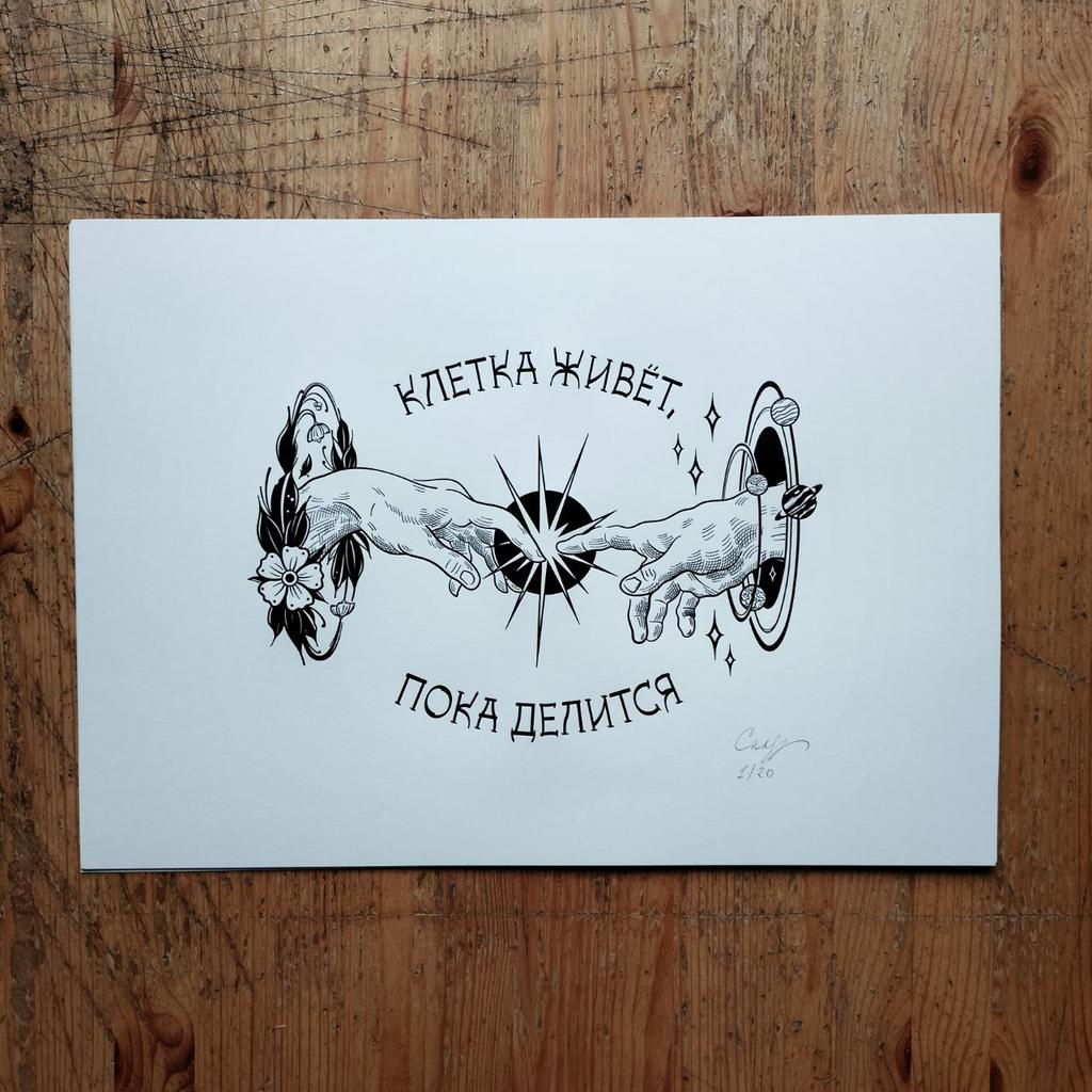 Клетка живёт, пока делится