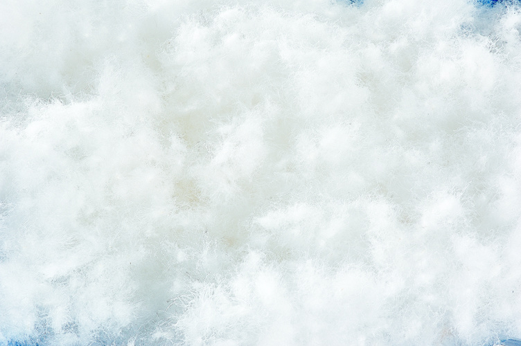 Одеяло из пуха белого гуся TRAUMINA Plume Bio Daune, класс тепла WK2, 200x220cm