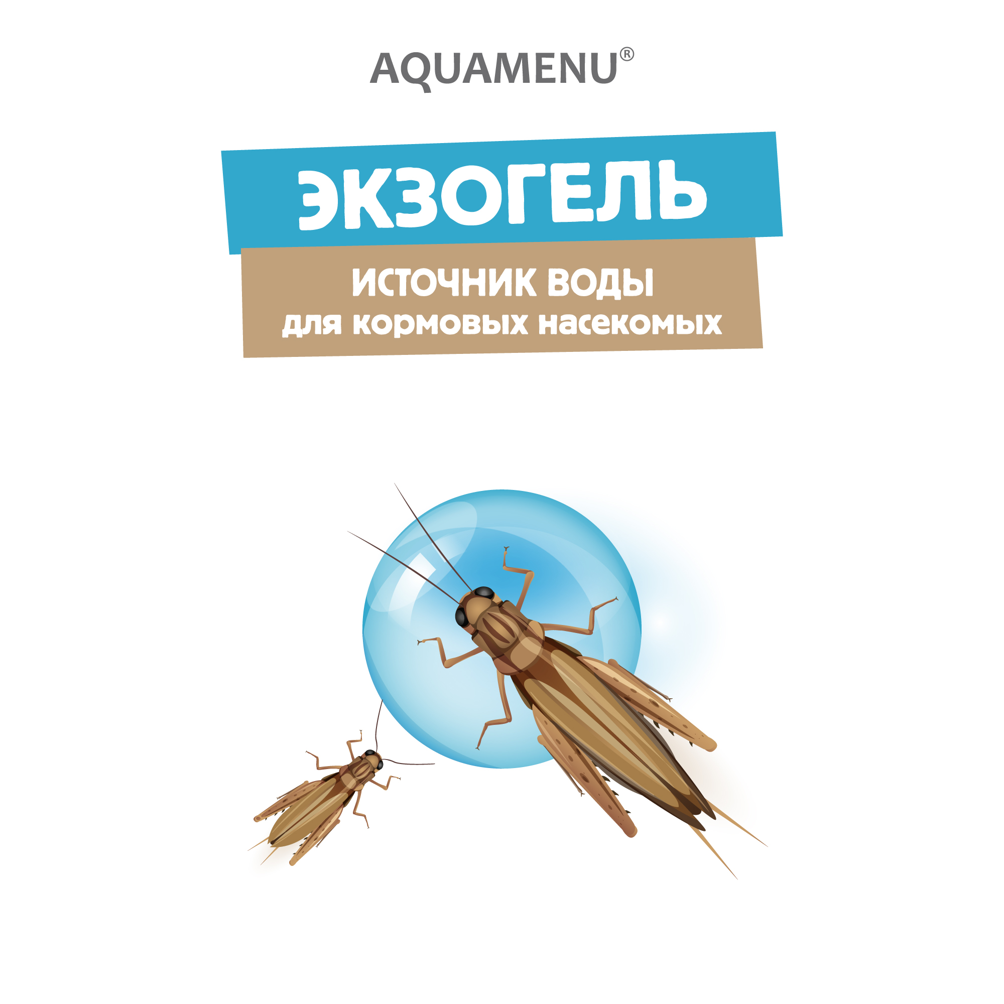 ЭКЗОГЕЛЬ