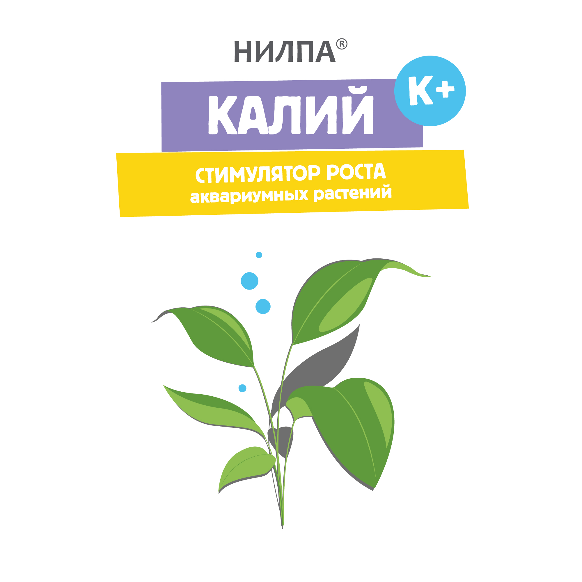 КАЛИЙ