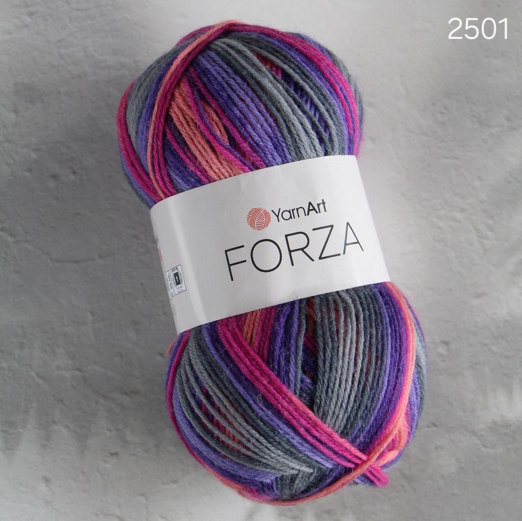 Yarnart Forza 2501