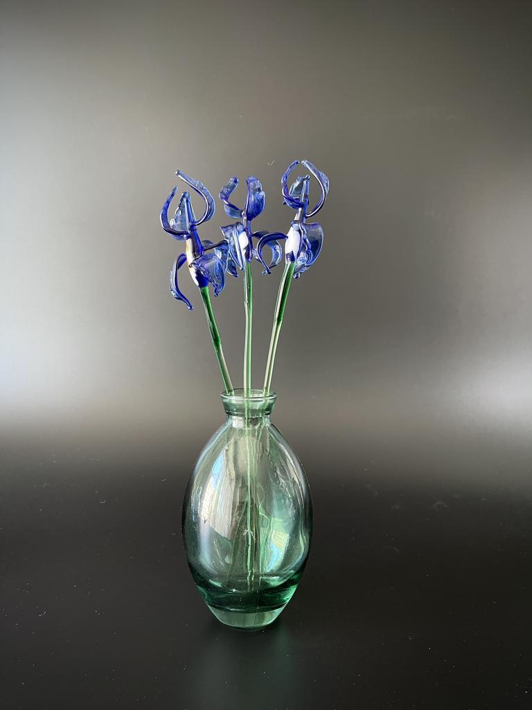 Прекрасные ирисы. Гусь-Хрустальный