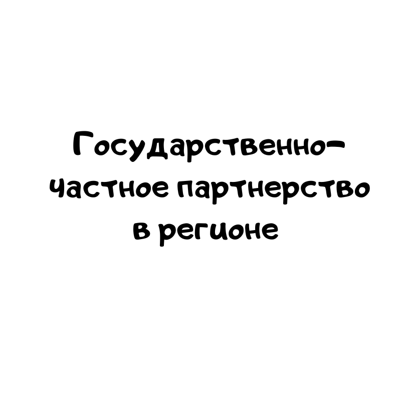 Государственно-частное партнерство в регионе