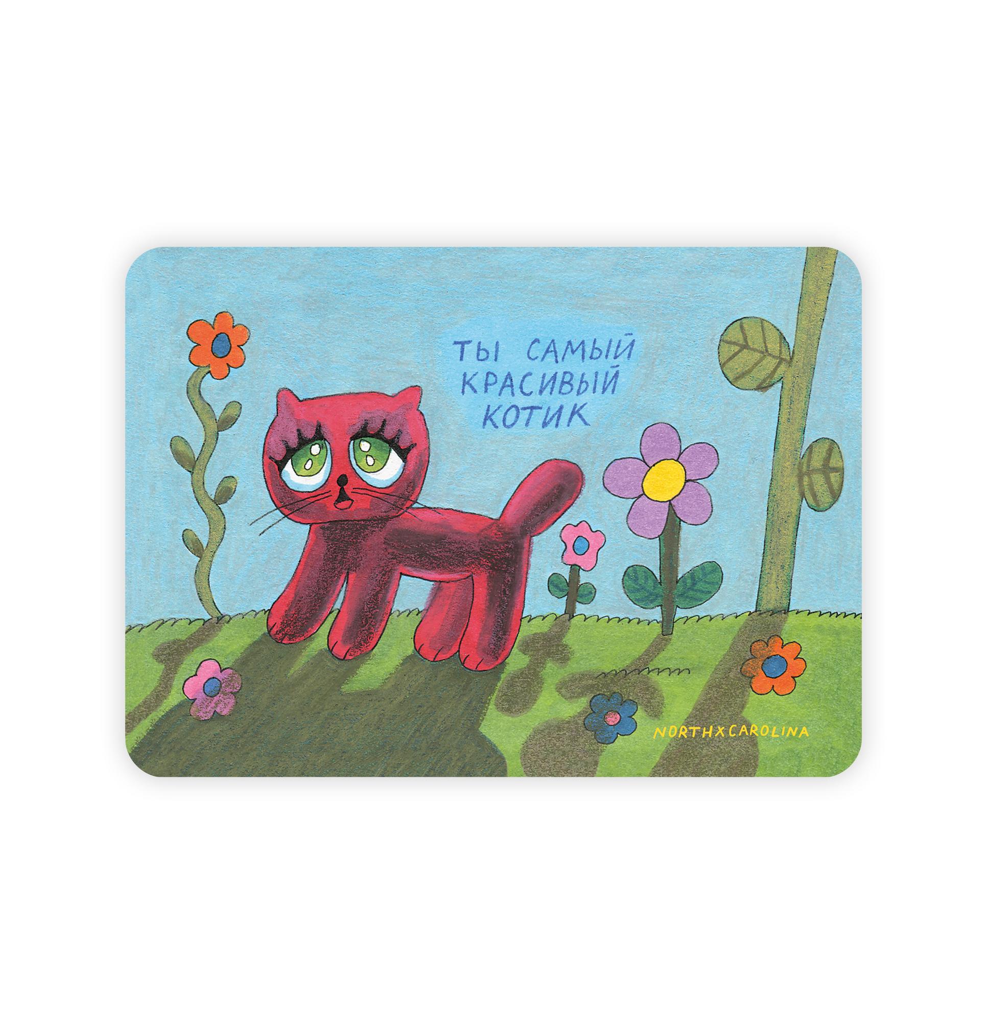 Открытка / Ты самый красивый котик