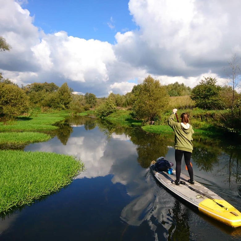 Северка верхняя