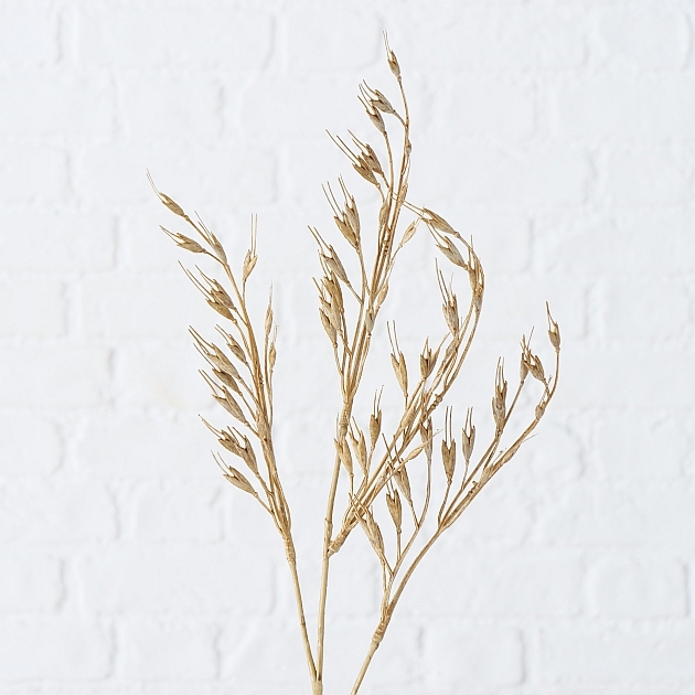 Искуственное растение "Сухоцвет" в ассортименте 65 см