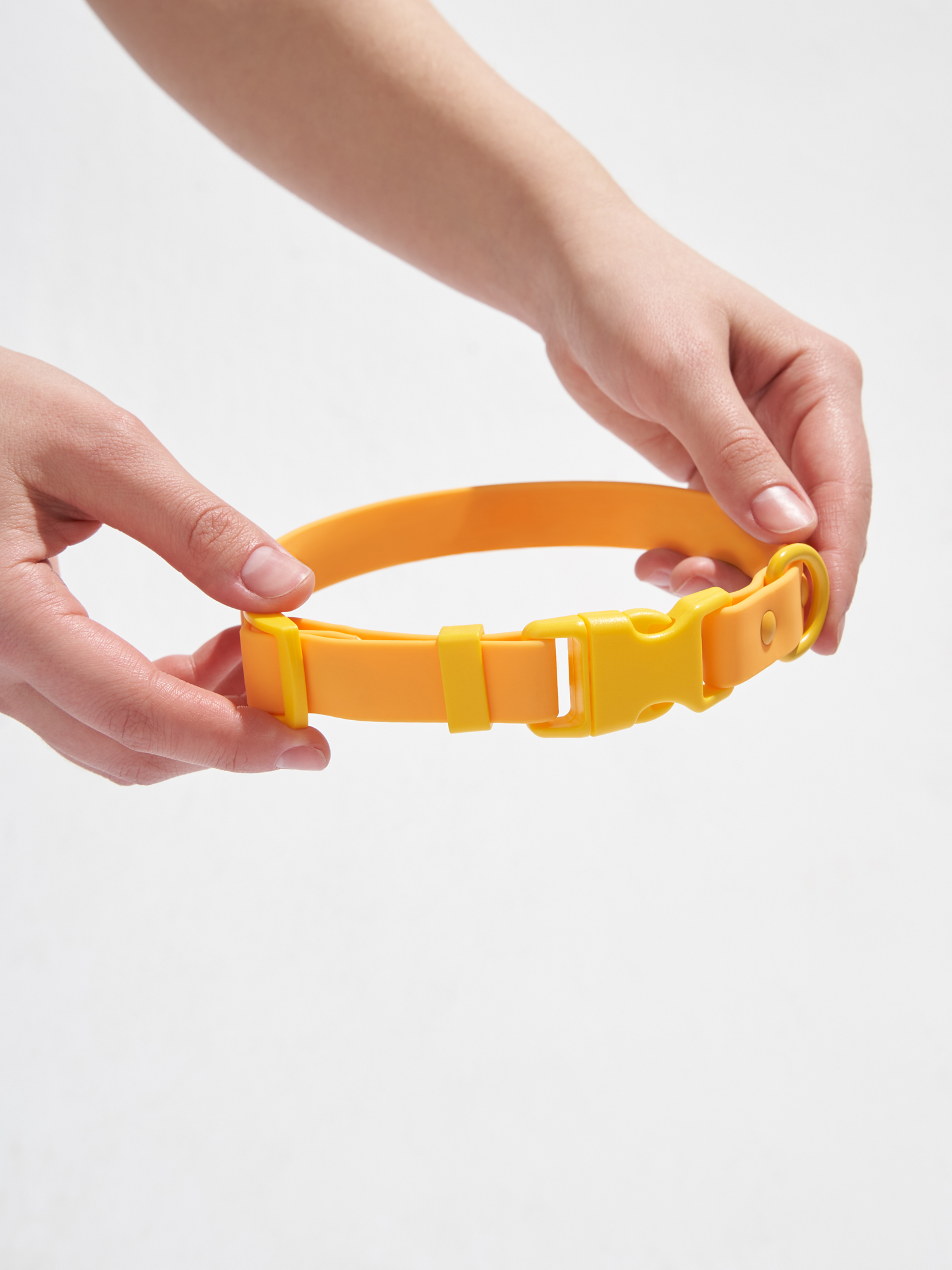 Ошейник в цвете Спелое Манго