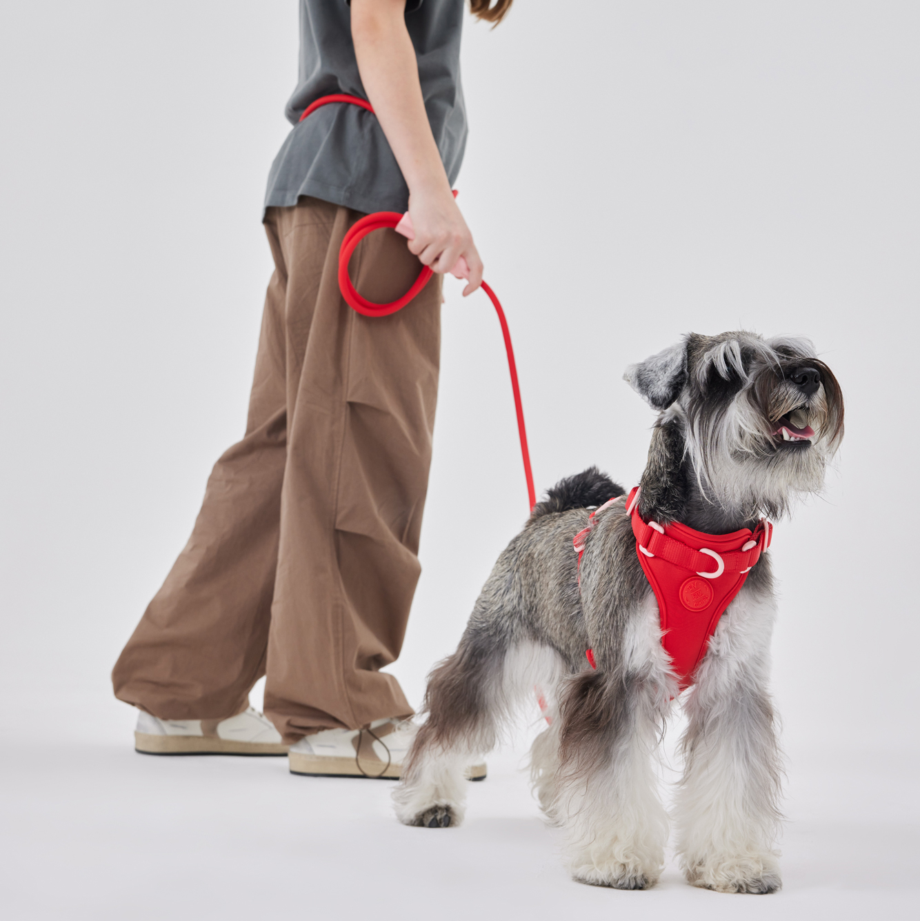 Хомодок в цвете Настоящий Красный