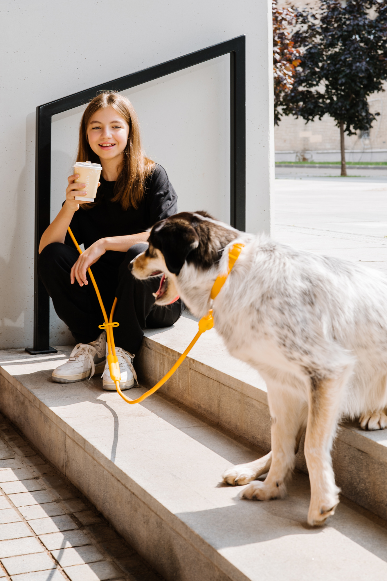 Хомодок в цвете Спелый Манго