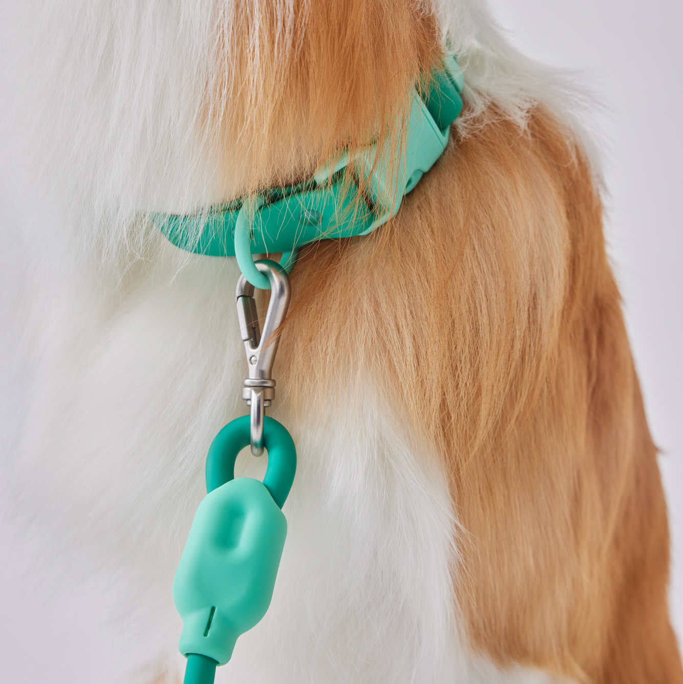 Хомодок в цвете Грасс 2м (M-L)