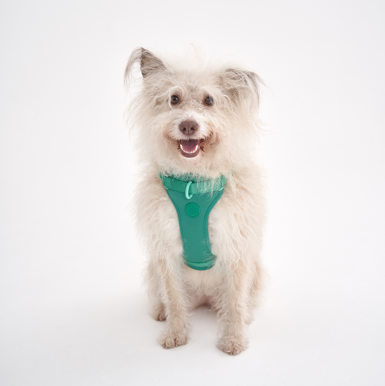 Воздушная шлейка в цвете Грасс