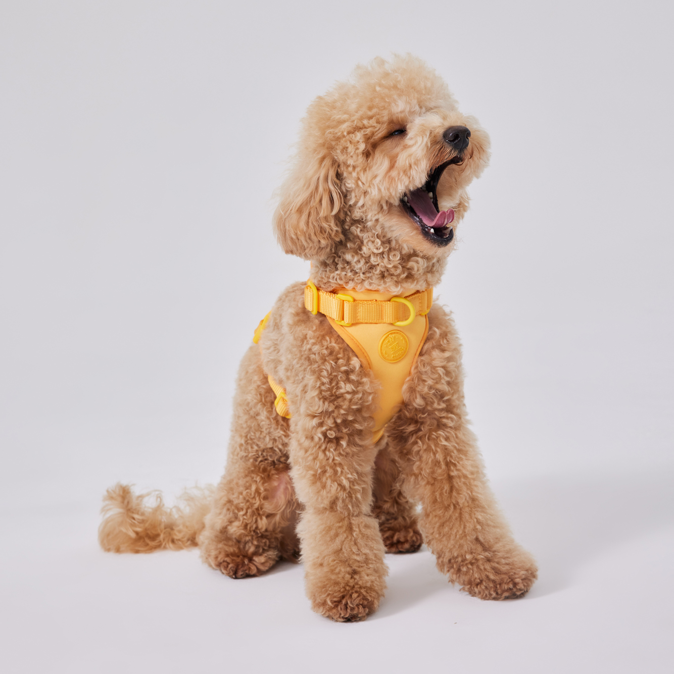 Воздушная шлейка в цвете Спелый Манго