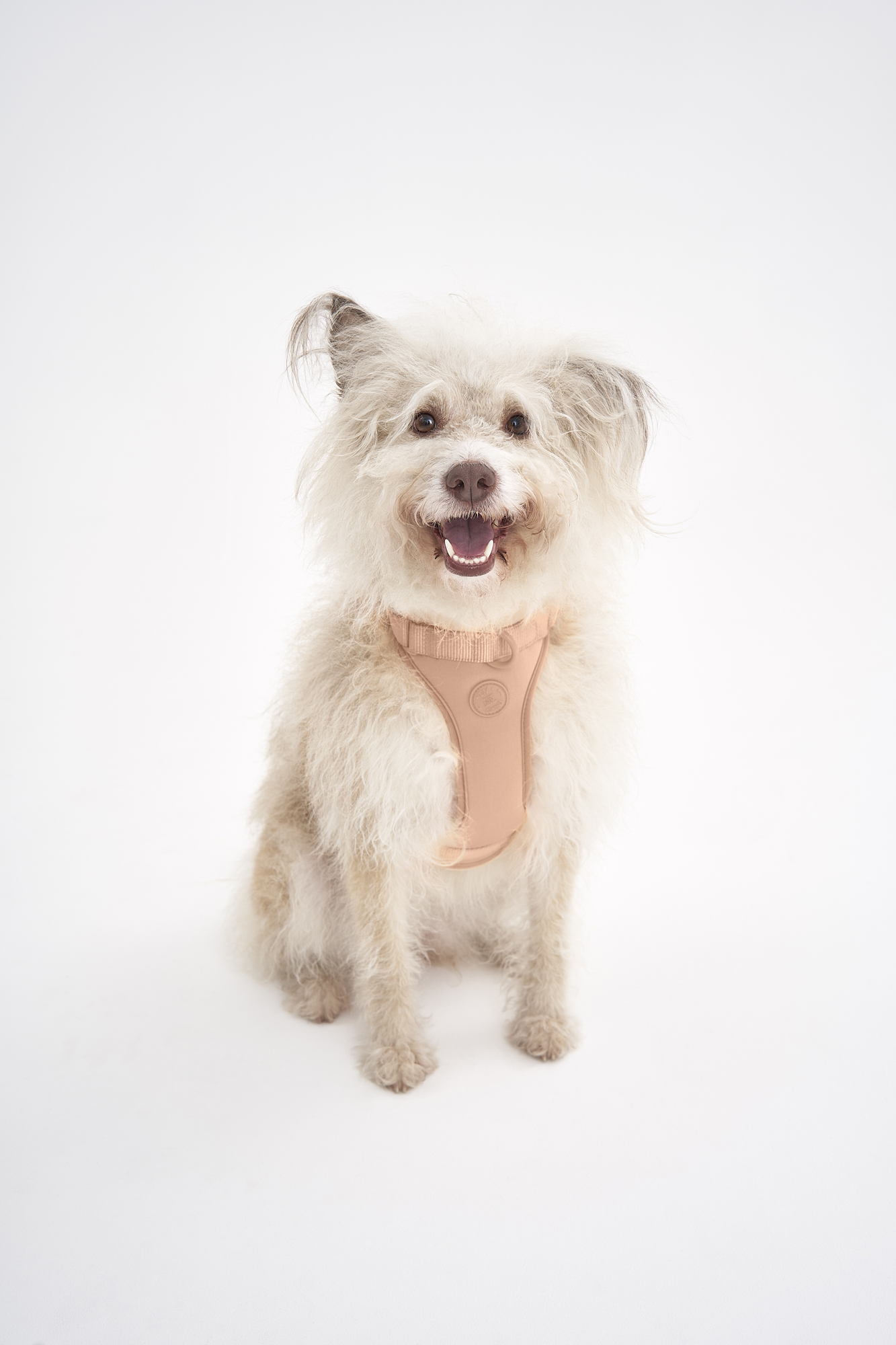 Воздушная шлейка в цвете Дикий Беж