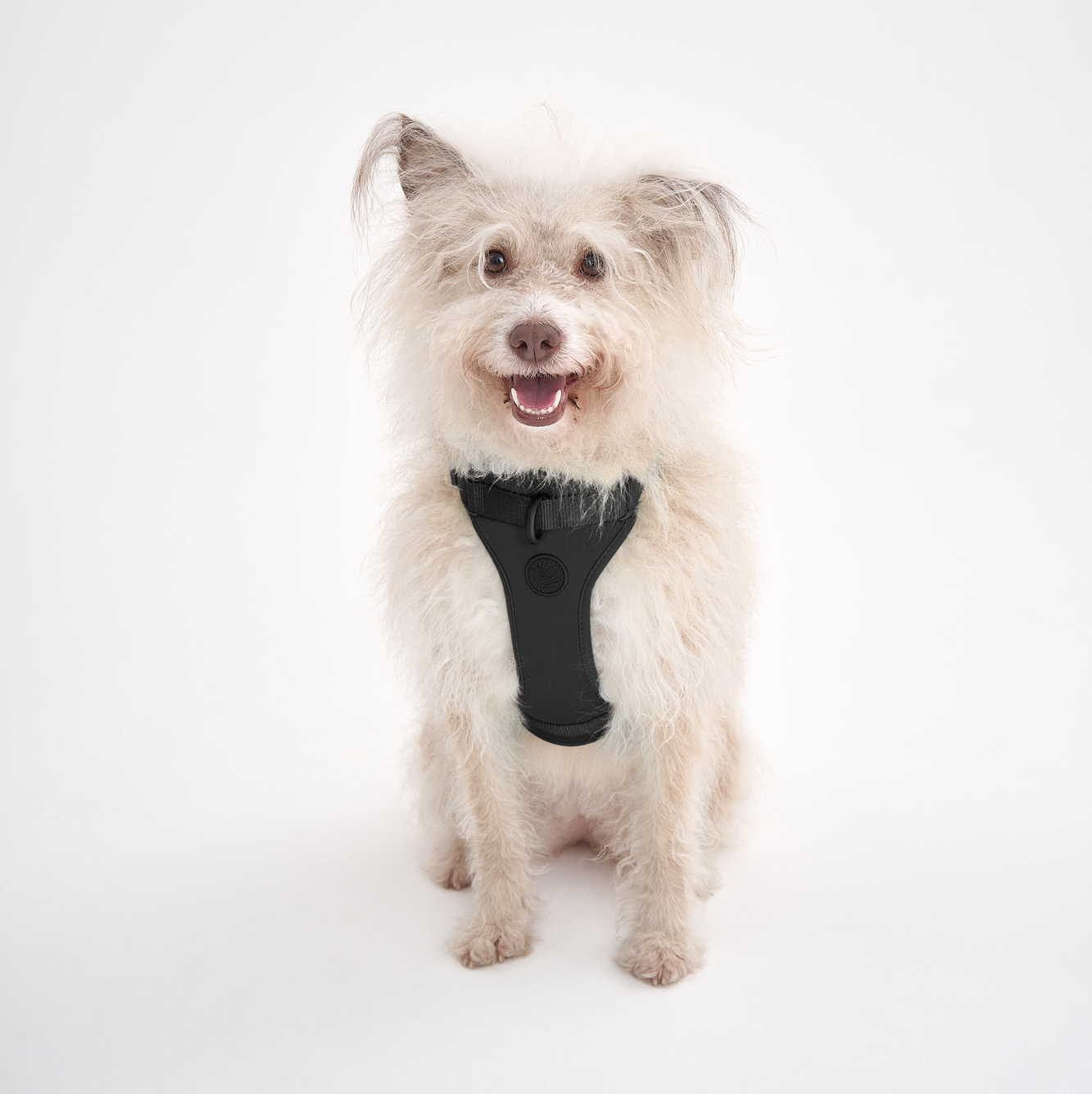 Воздушная шлейка в цвете Дикий Чёрный