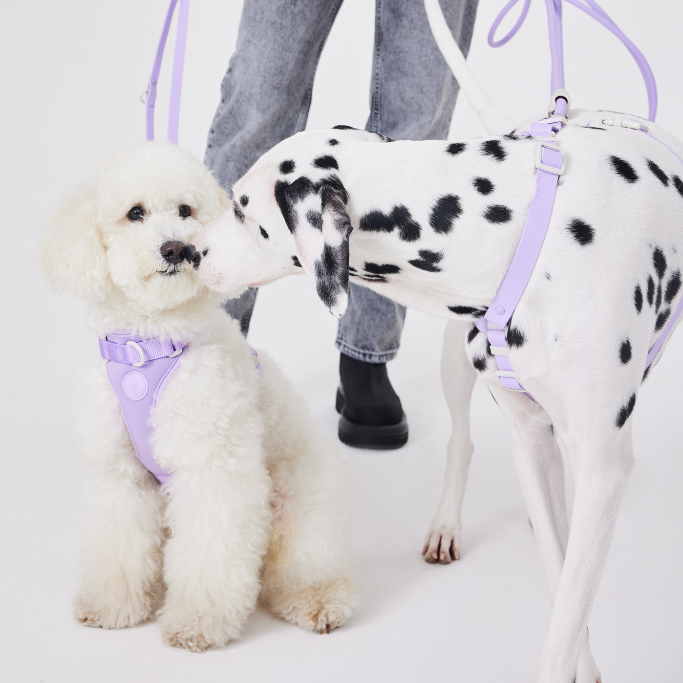 Водонепроницаемая шлейка в цвете Фиолетово