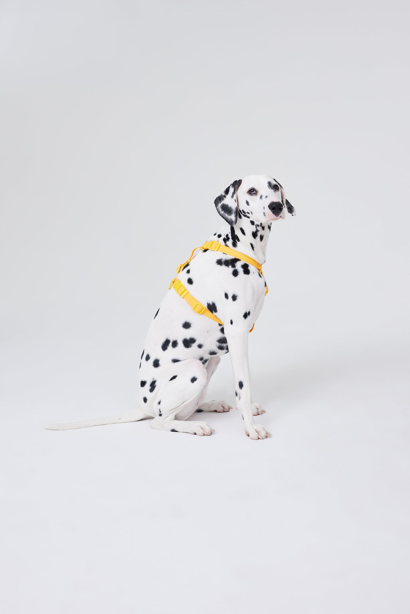 Водонепроницаемая шлейка в цвете Спелый Манго