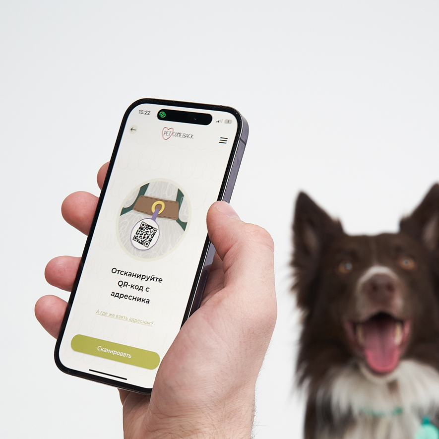 ID Адресник PetComeBack в цвете Дикий Чёрный