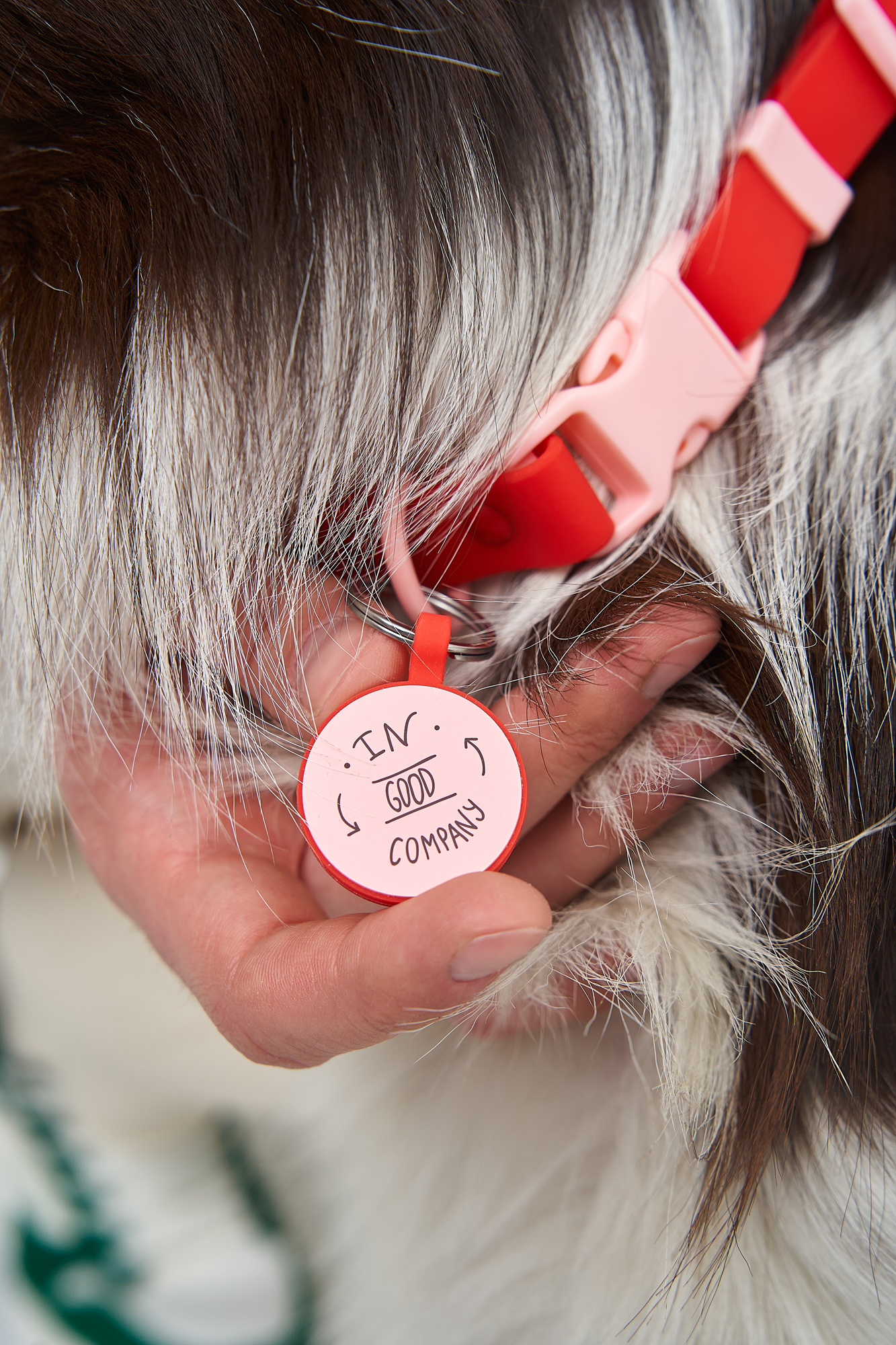 ID Адресник PetComeBack в цвете Настоящий Красный