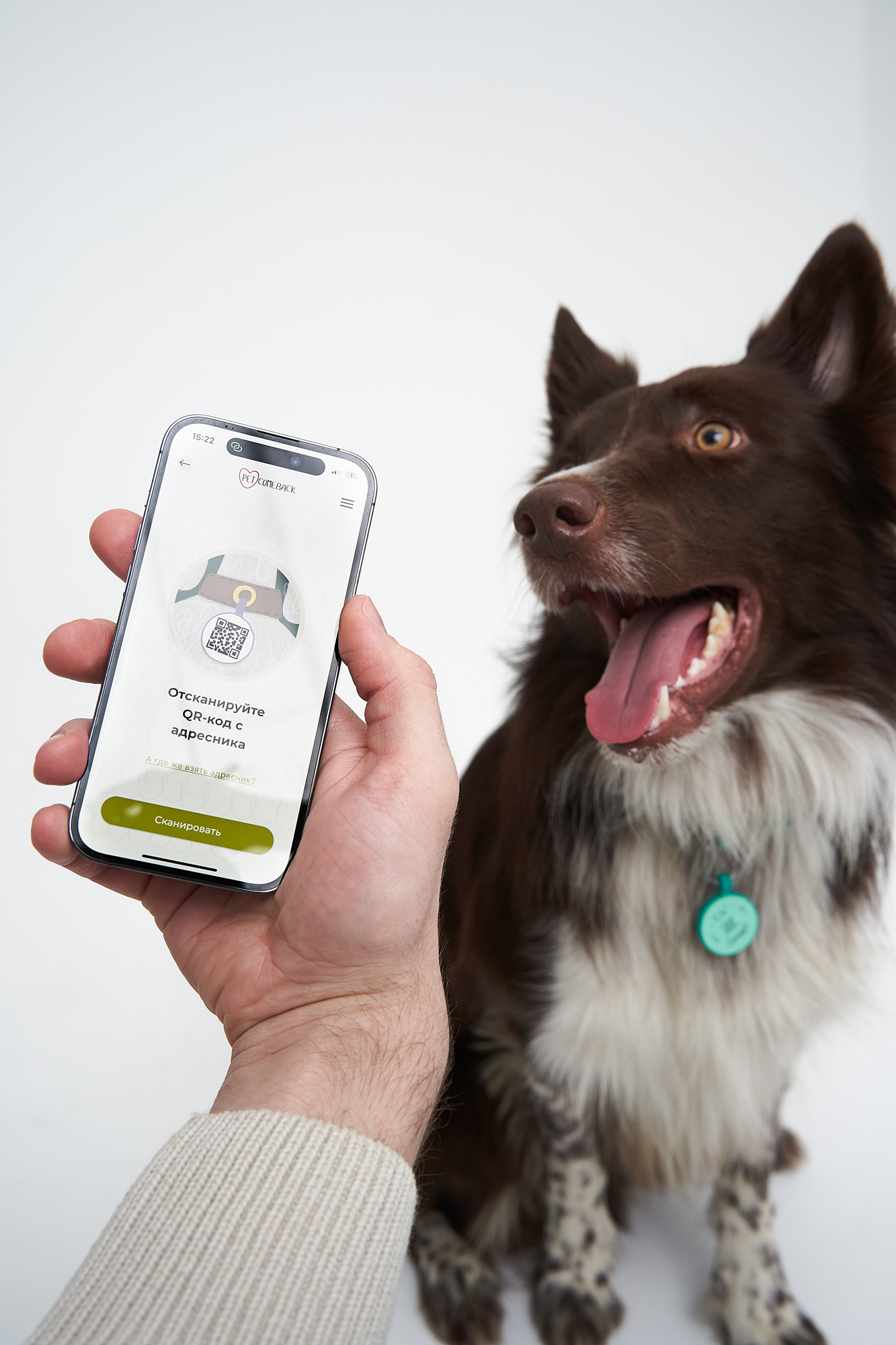 ID Адресник PetComeBack в цвете Грасс