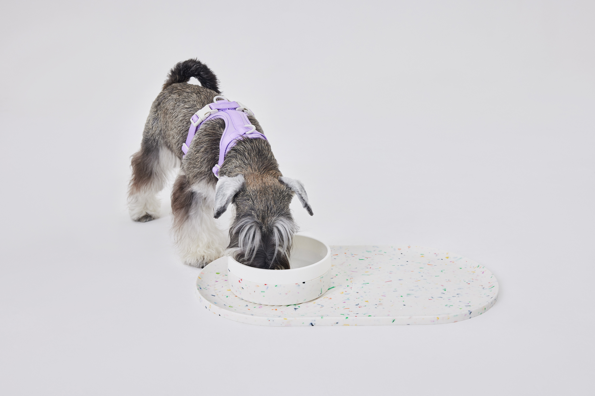 Миска-неубегайка маленькая