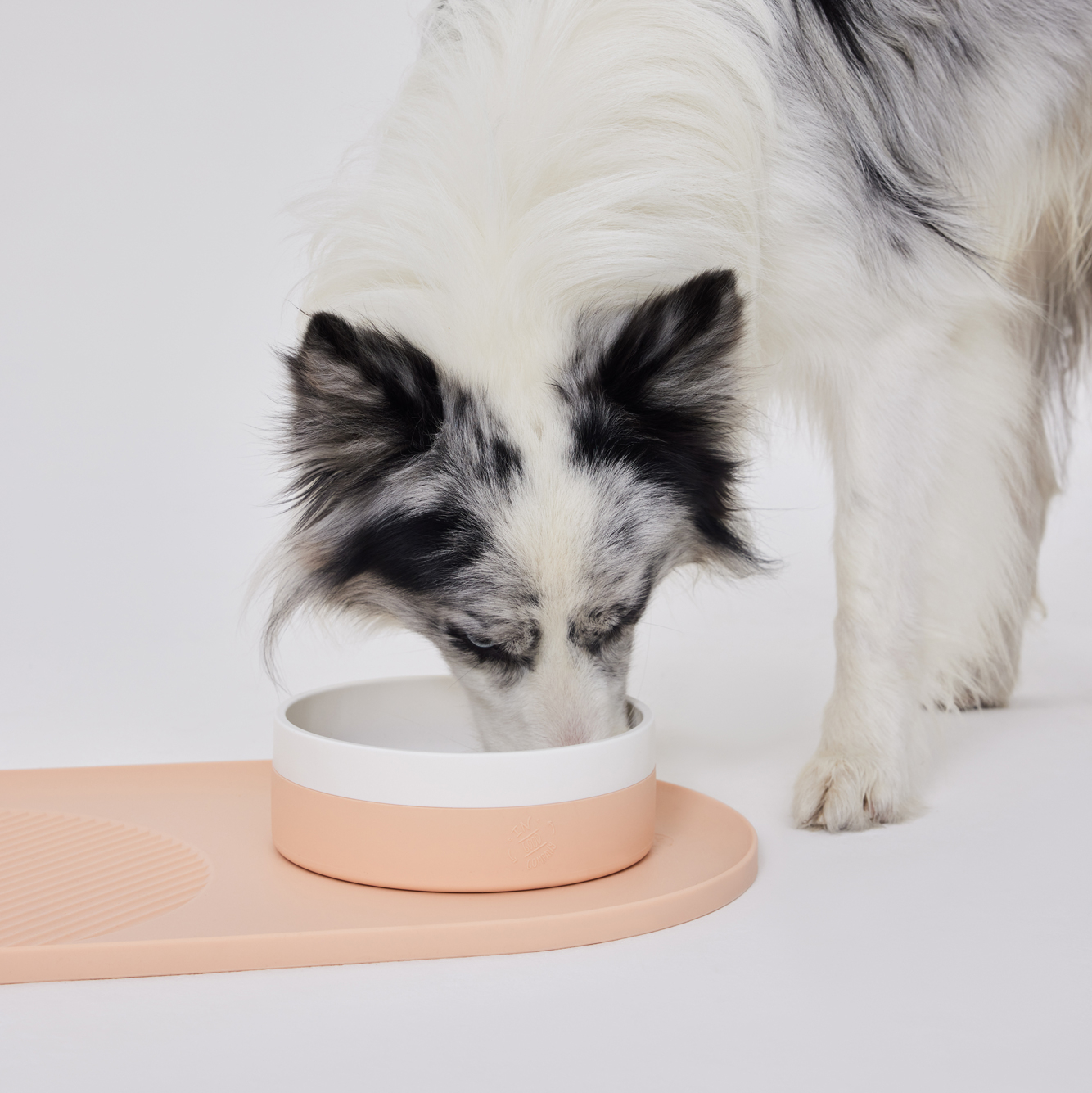 Миска-неубегайка средняя