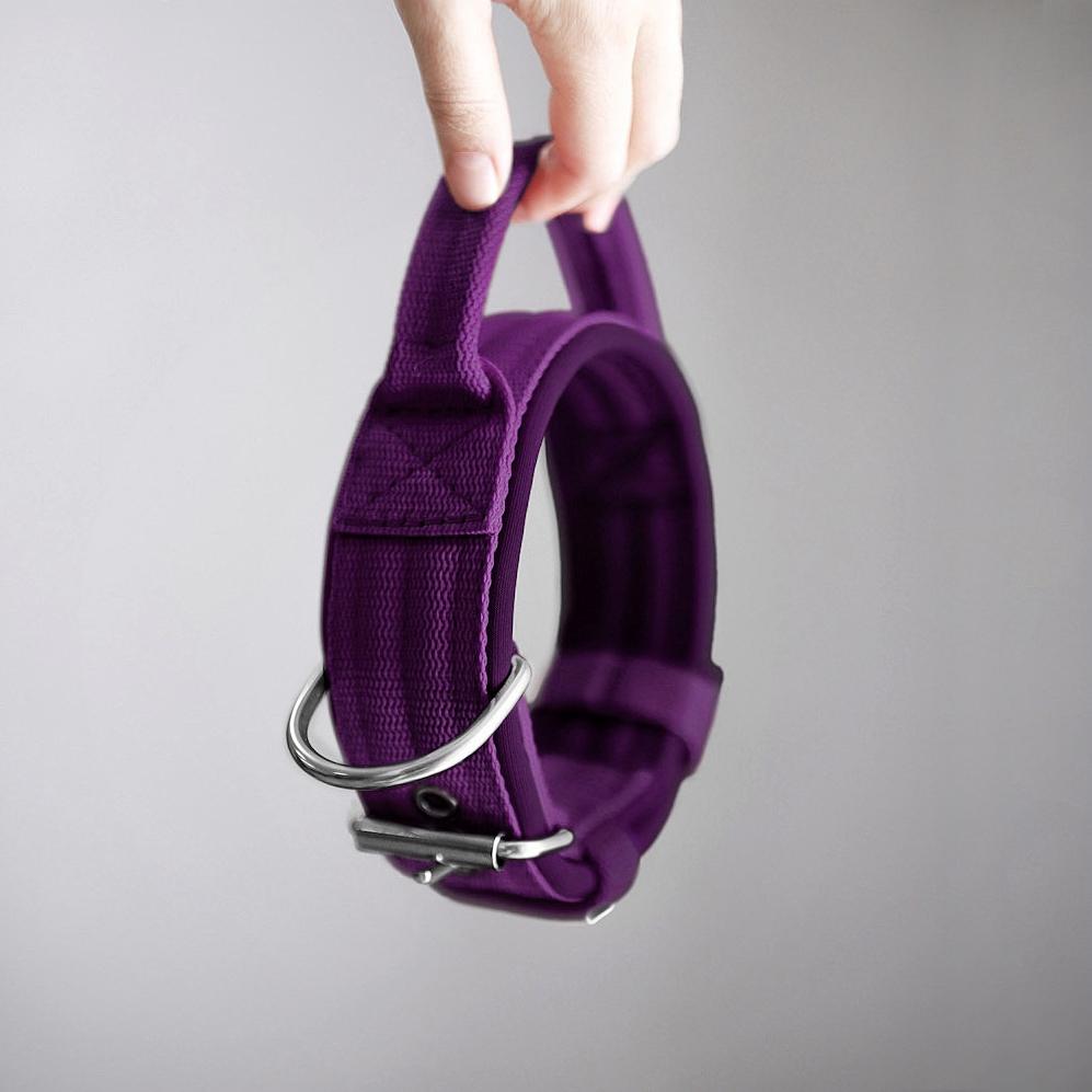 Ошейник For Motion с ручкой, слива/слива