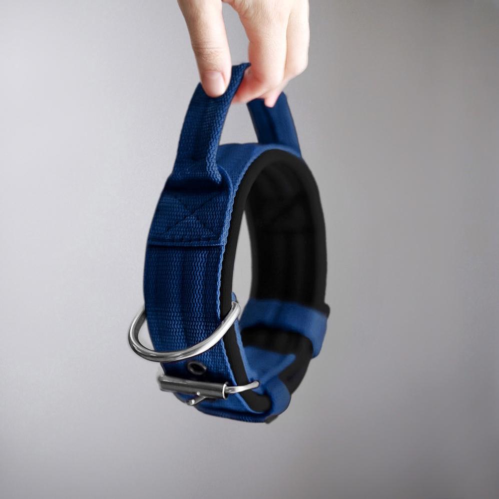 Ошейник For Motion с ручкой, синий/чёрный