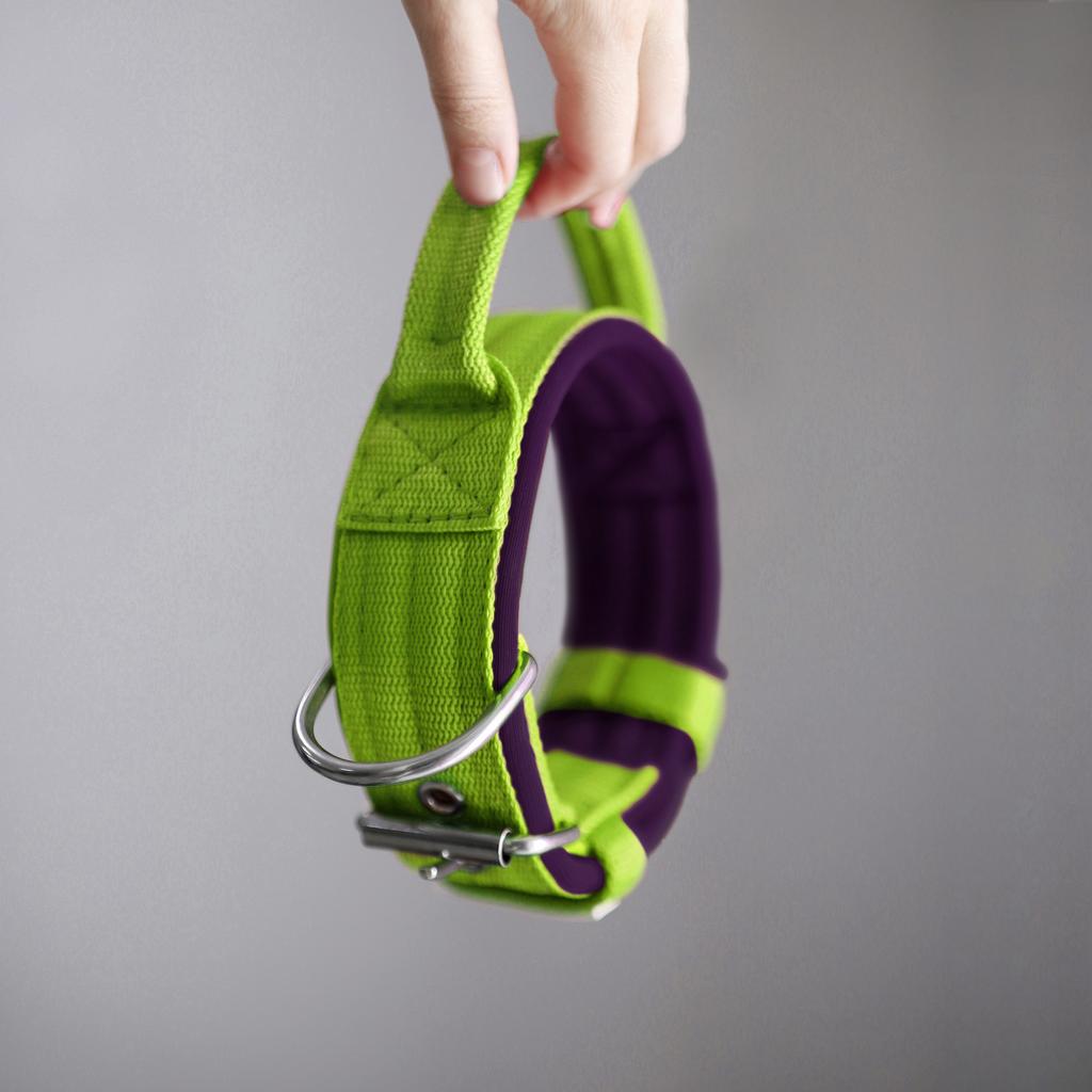 Ошейник For Motion с ручкой, лайм/слива