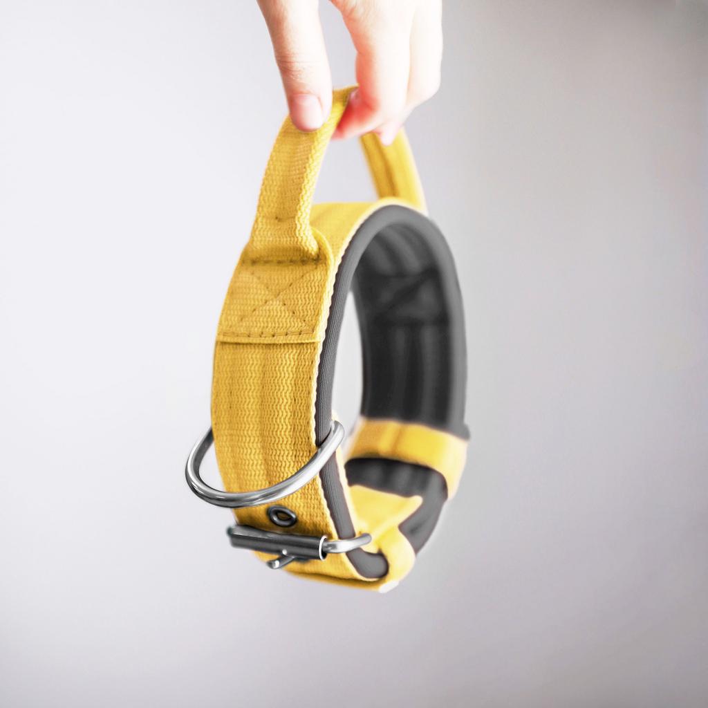 Ошейник For Motion с ручкой, жёлтая дыня/серый