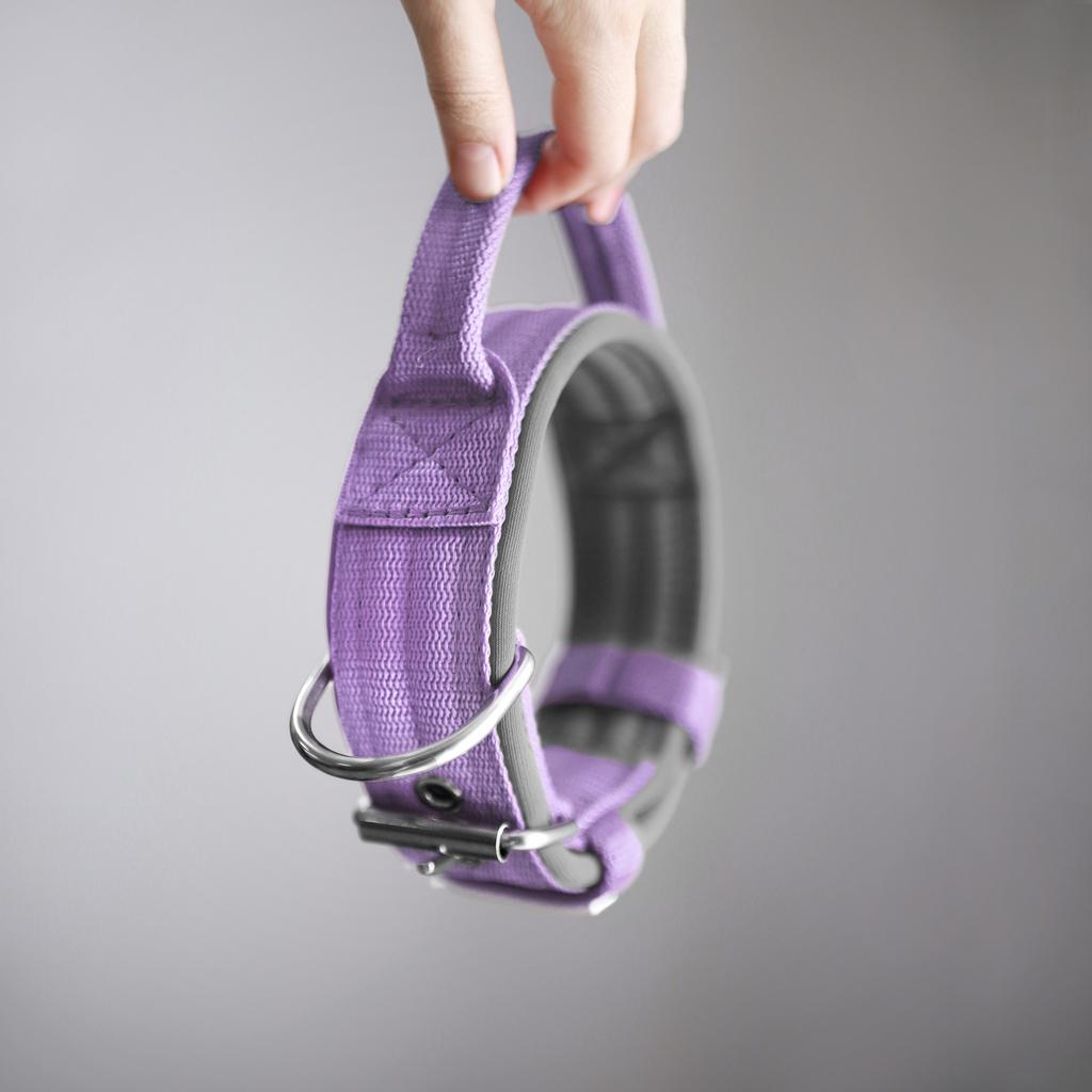 Ошейник For Motion с ручкой, фиалка/серый