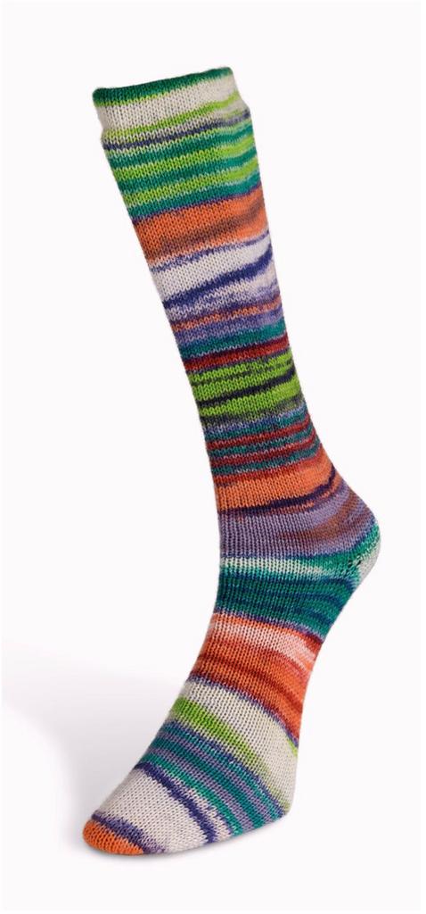 Electic Sock 03