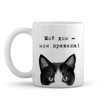 Подарочная кружка с котом Мой дом – мои правила!
