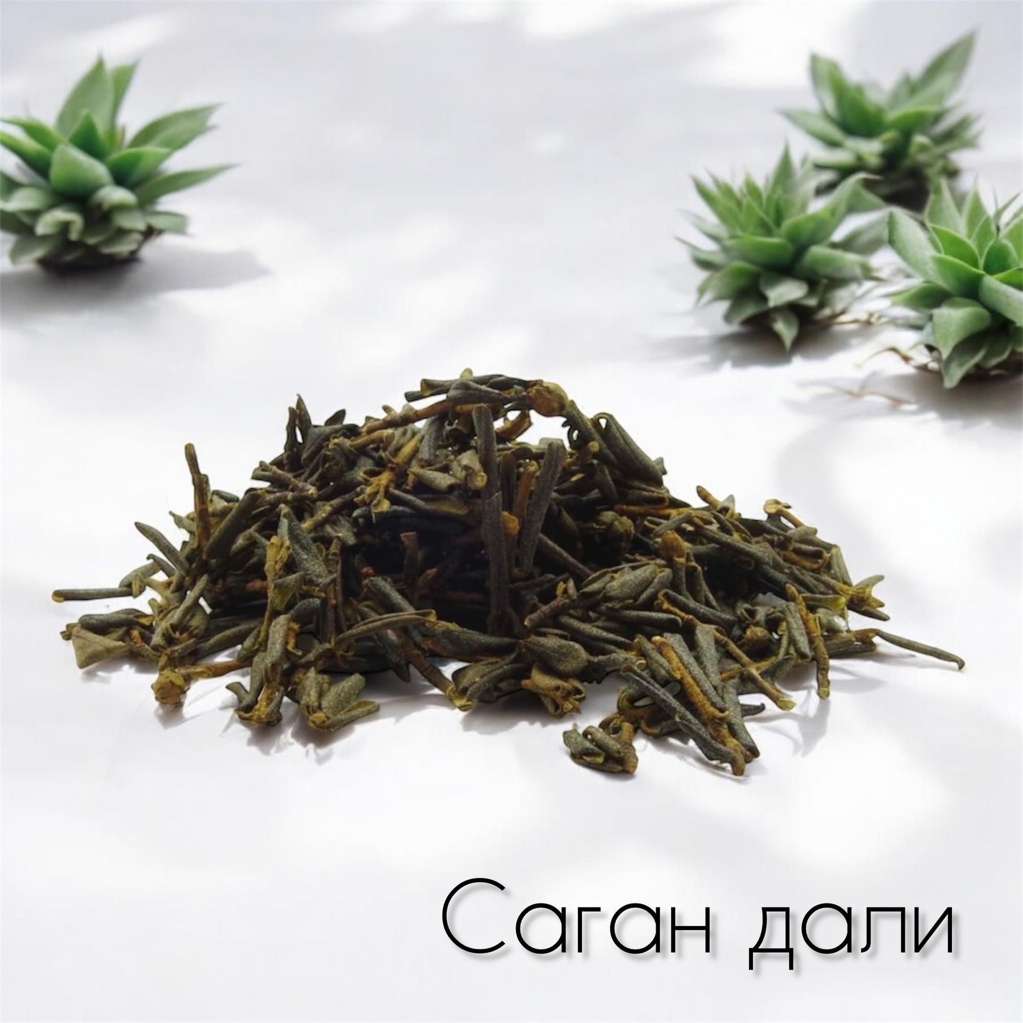 Саган Дали ИЮЛЬ 24г