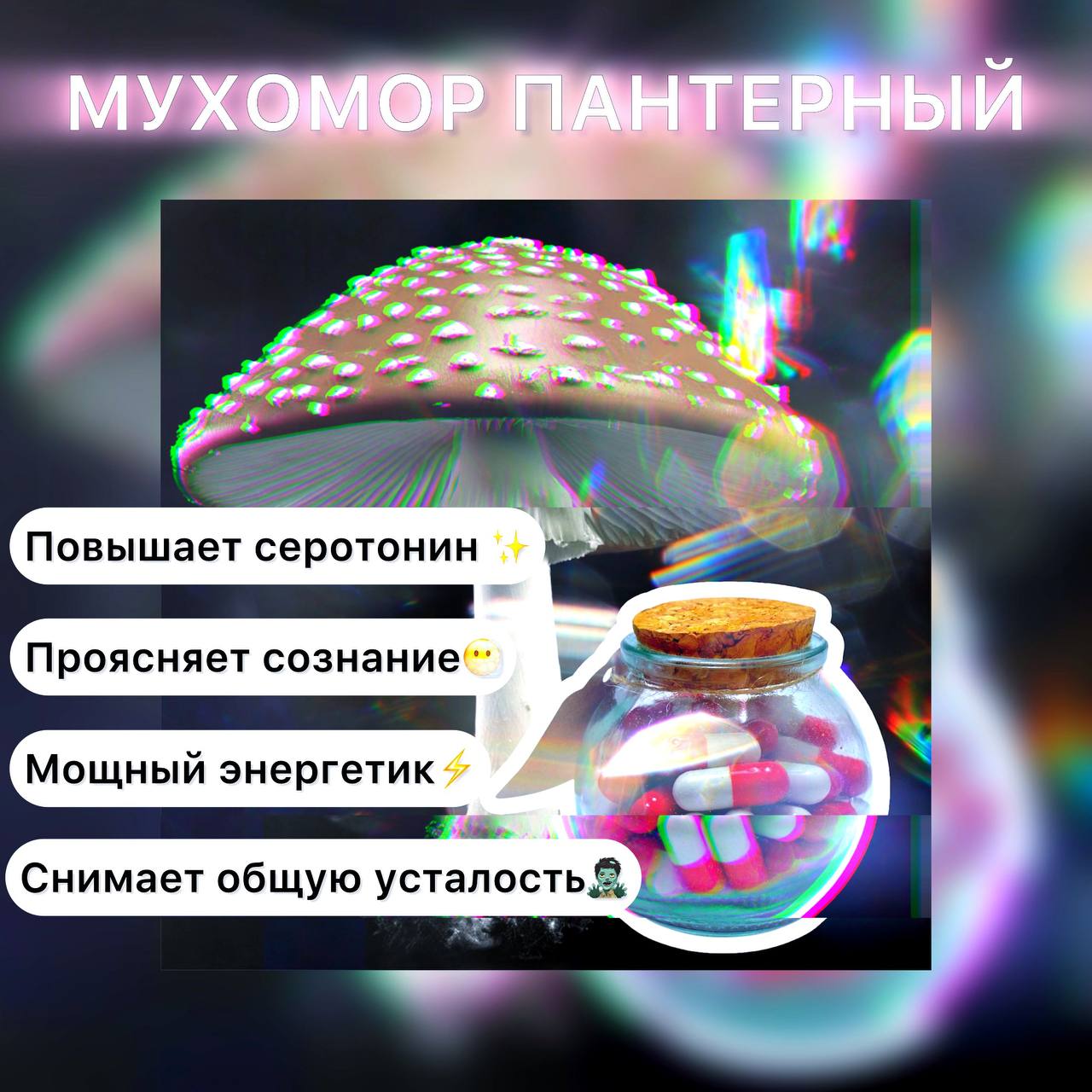 Мухомор пантерный. Микродозинг 60 шт. Х 0,5 гр.