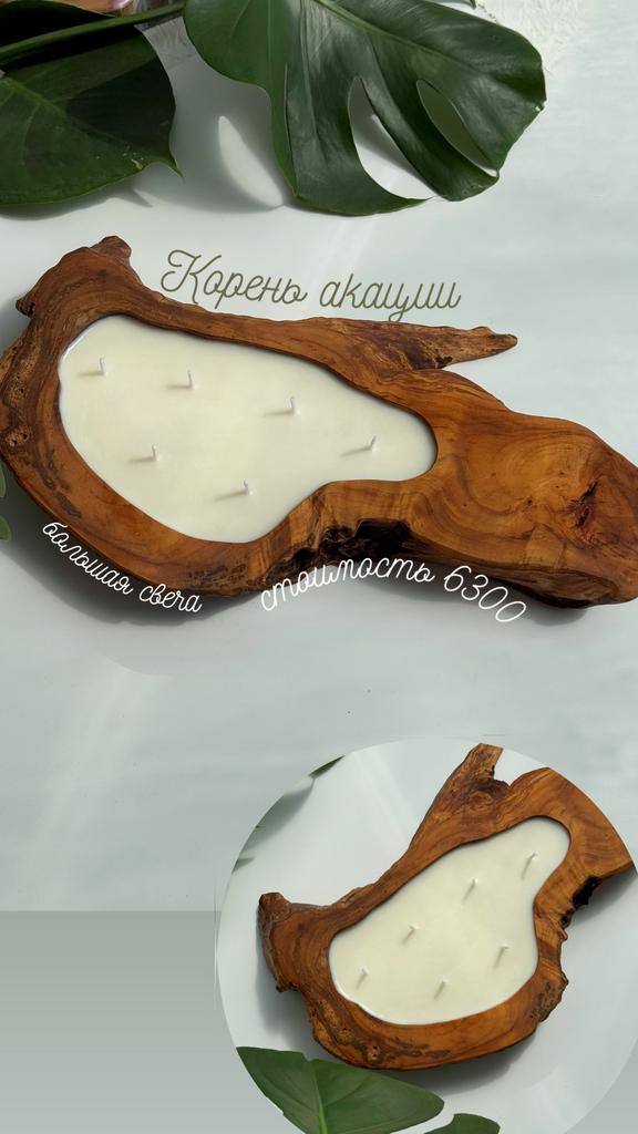 Свеча большая «акация» - редкий экземпляр