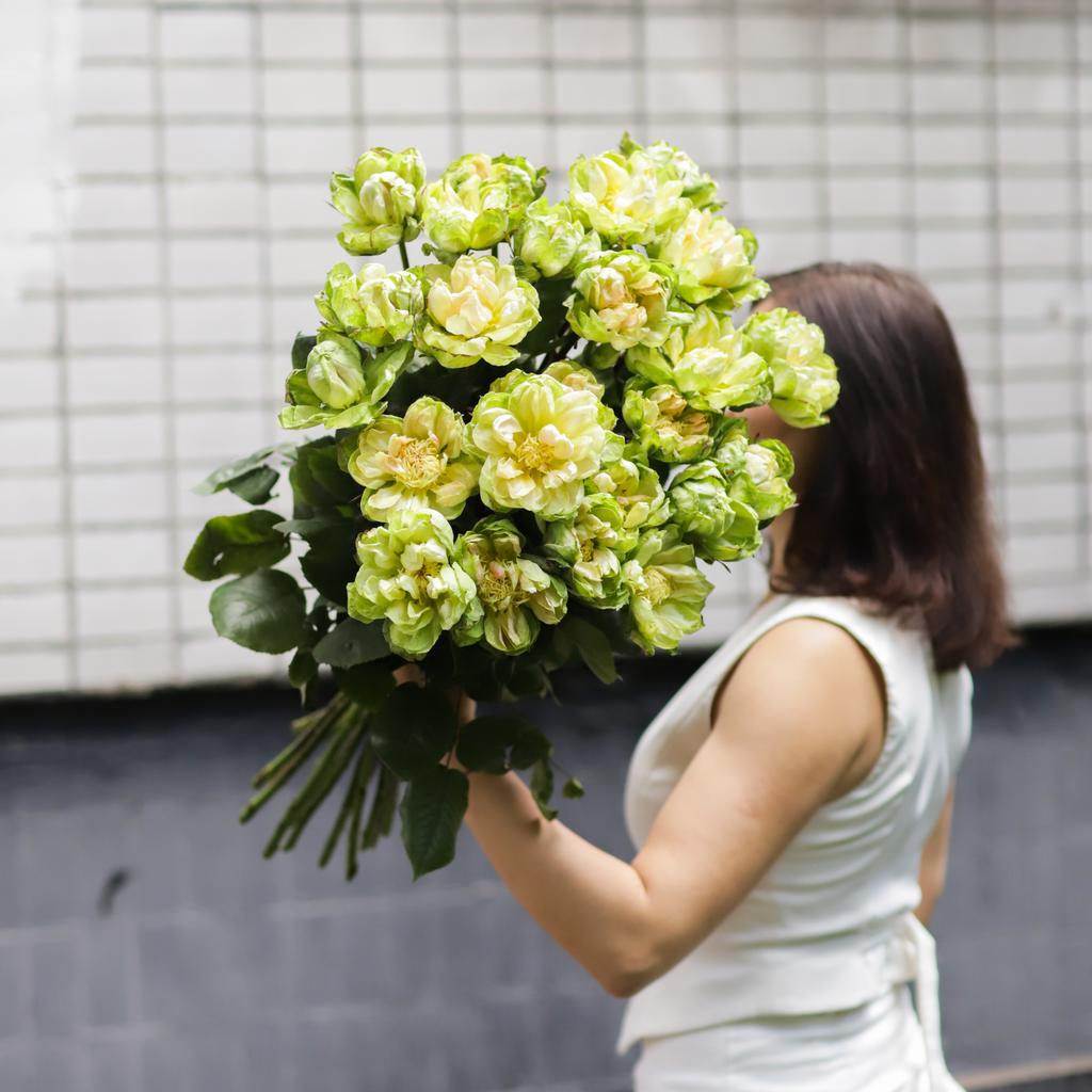 Моно из роз Veggie