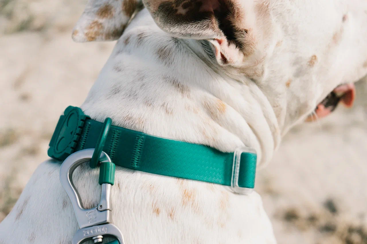 ОШЕЙНИК ZEE.DOG NEOPRO AMAZONIA