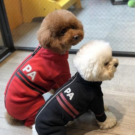 Puppy Angel Костюм "Active" унисекс