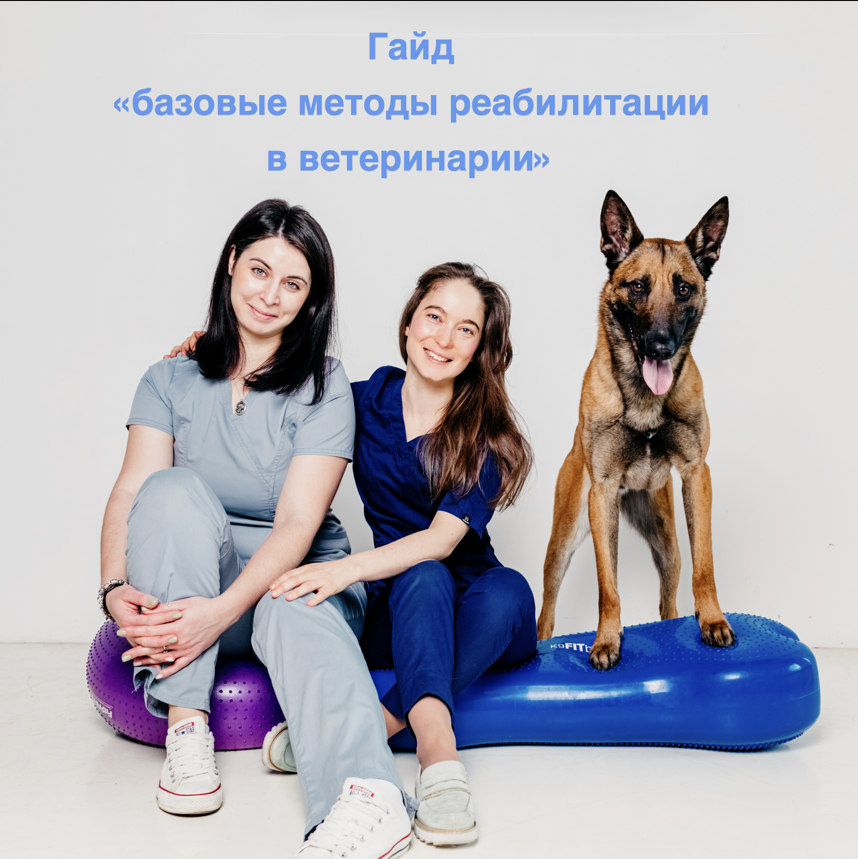 Базовые методы реабилитации в ветеринарии.