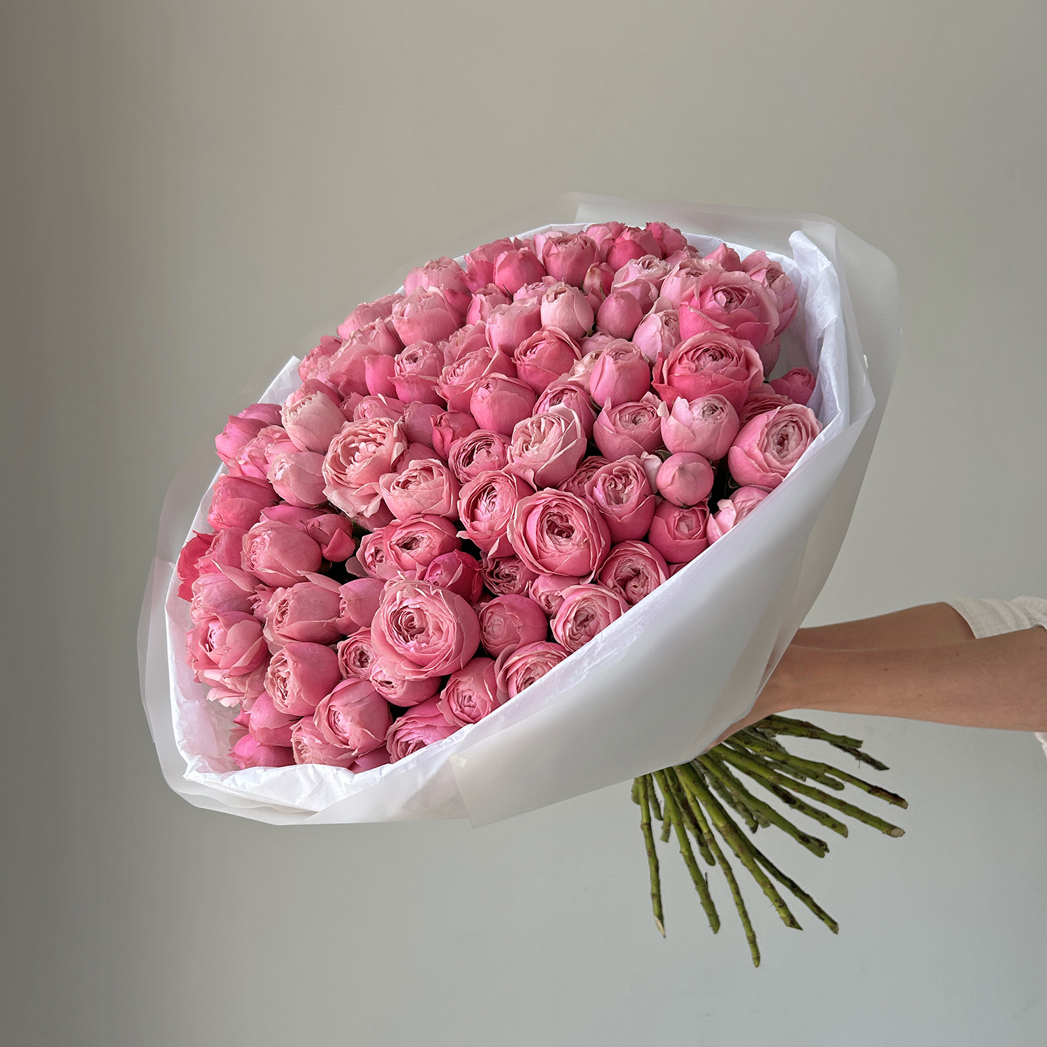 Ягодные пионовидные кустовые розы Сильва Пинк