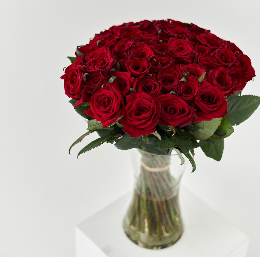 51 РОЗА РЕД НАОМИ