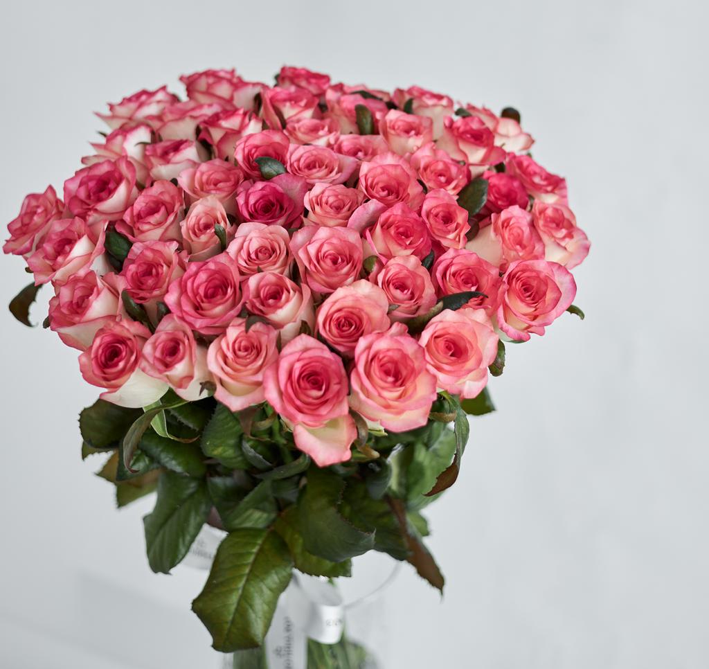 51 РОЗА ДЖУМИЛИЯ