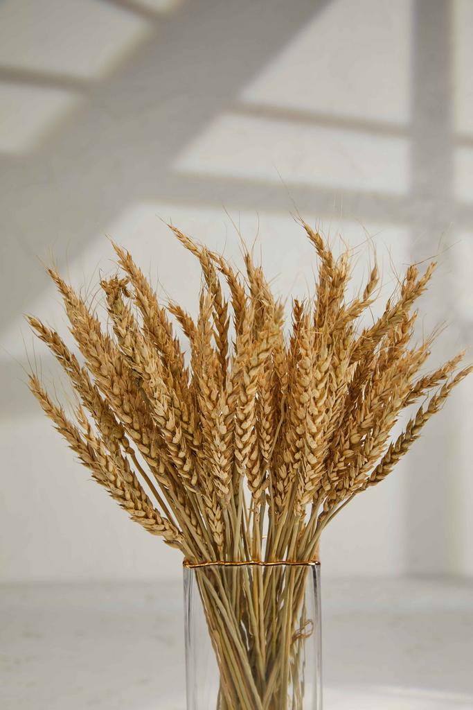 Пшеница - Золотая