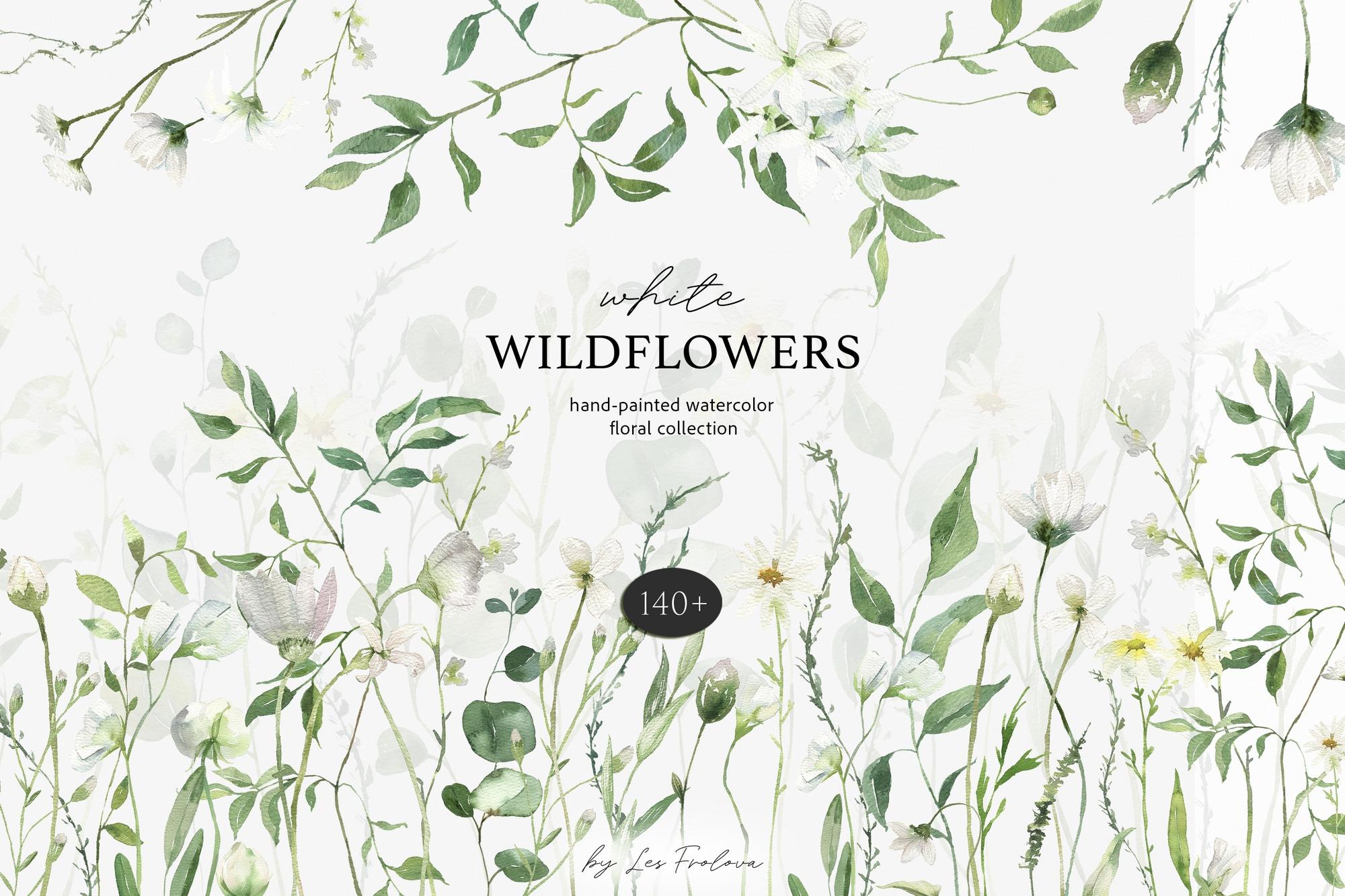 White Wildflowers Watercolor Collection