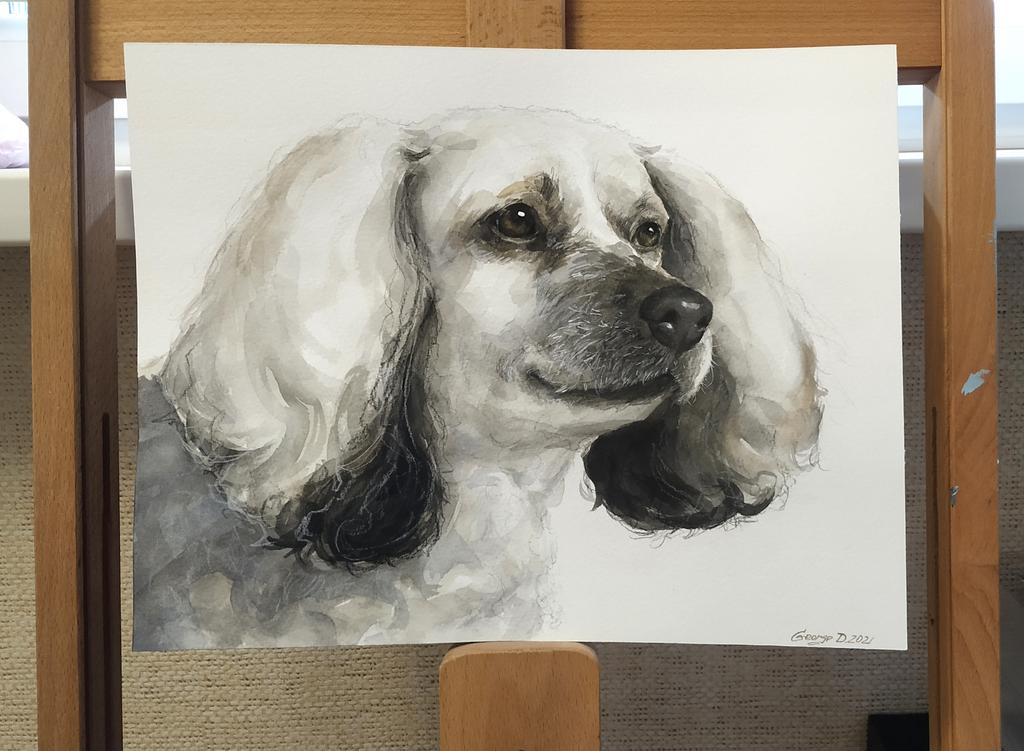 Custom order with pet | Watercolor | Size 14 x 11 inches