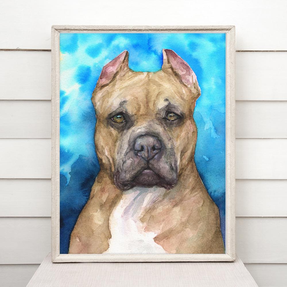 Print "Pitbull" | Watercolor