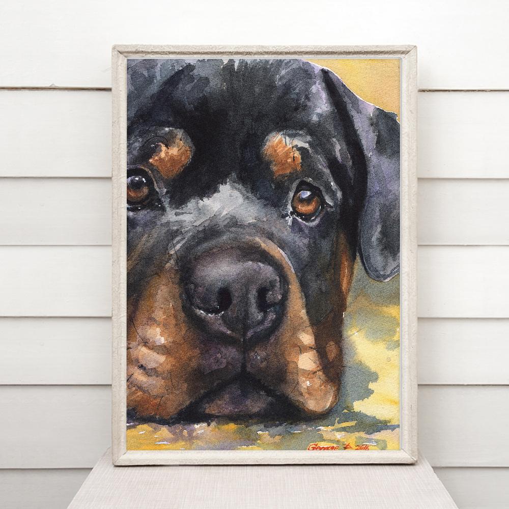 Print "Rottweiler" | Watercolor