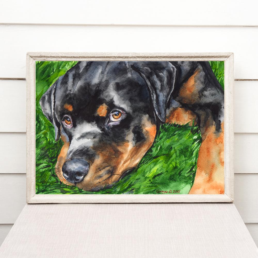 Print "Rottweiler puppy" | Watercolor