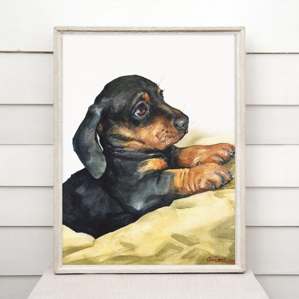 Print "Dachshund puppy" | Watercolor